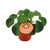 Pilea Peperomioides - Ø11cm - ↕15cm